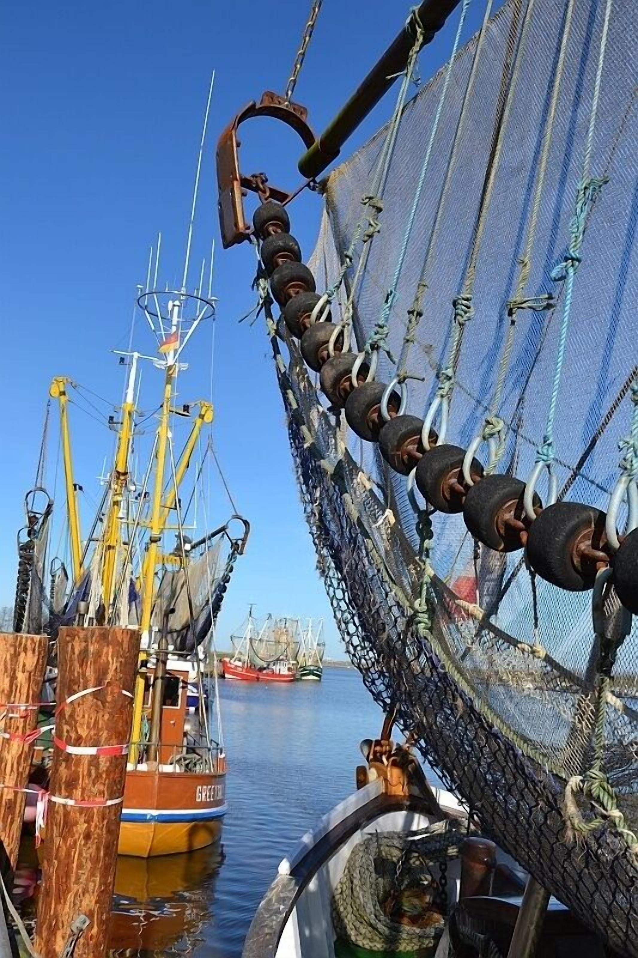 A fishing boat with a net and winches, docked at a pier with other boats.