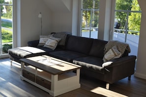 Fernseher, Kamin