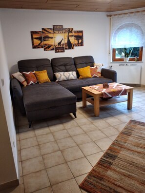 Télévision, lecteur de DVD, livres, chaîne hi-fi