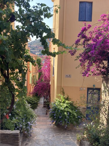  VILLA FOR 8  POOL /GARDENS BEACH
Mas de la Rivière , Villelongue de la Salanque