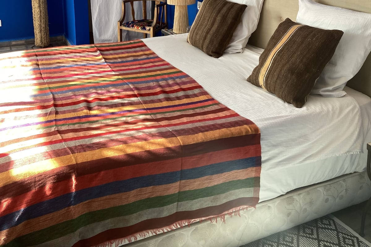 A hotel room with a bed, a nightstand, a lamp, a cactus decoration, and a window with curtains.