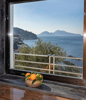 Interior - Villa Silvana-AmalfiCoast Panoramic villa  with large garden and swimmingpool    (Massa Lubrense)