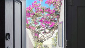 Uma porta aberta dá para uma varanda com vista para uma árvore florida em tons de rosa.