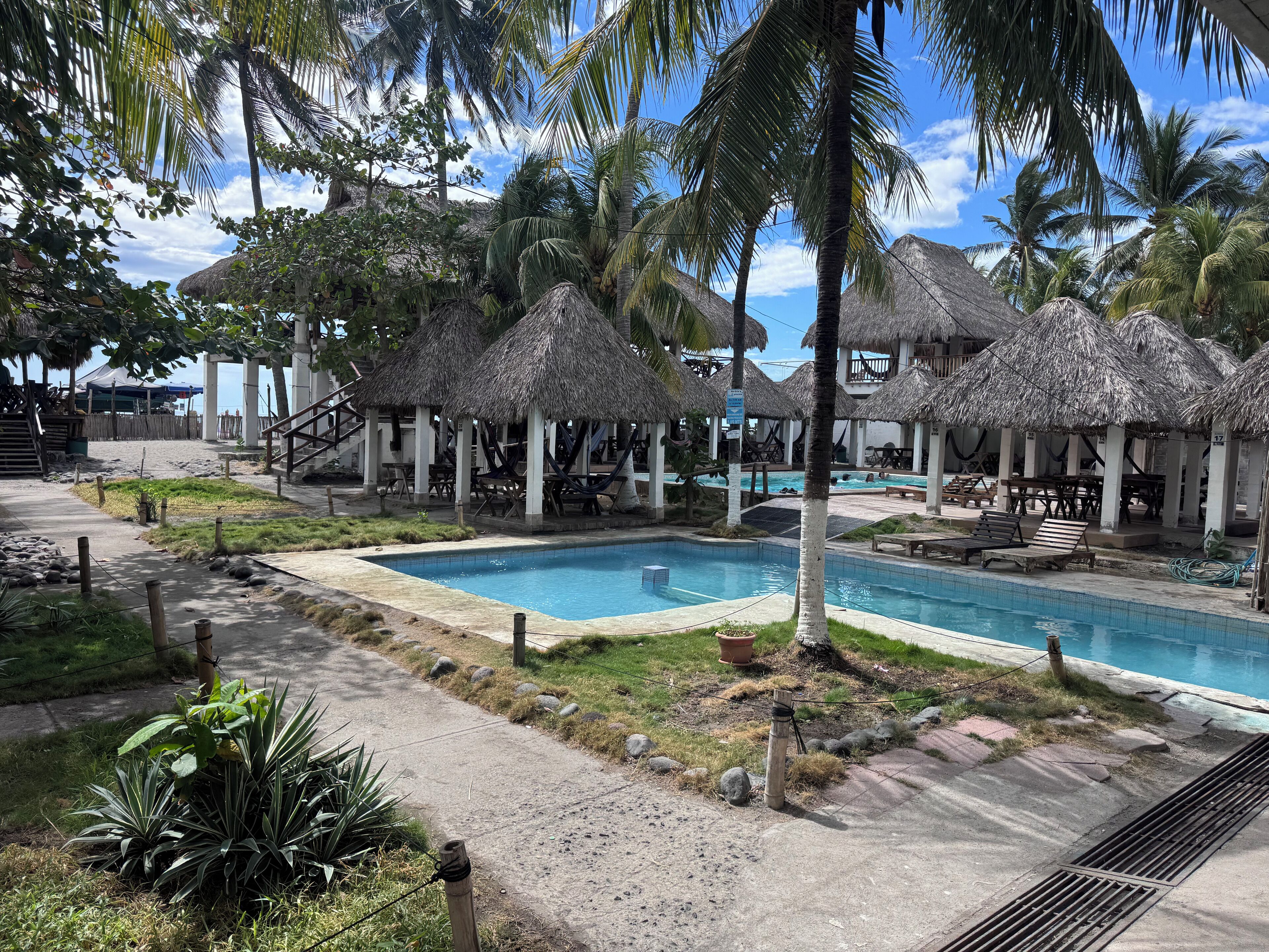 A pool area with thatched-roof structures, palm trees, and a clear blue sky.