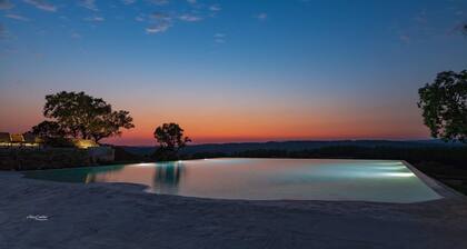 Chão da Velha - T1 Casa 17 do Virtuoso