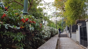 A stone pathway flanked by lush greenery and a metal fence.