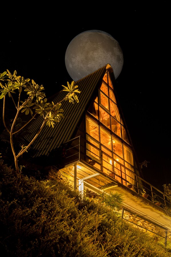 A building with a large, illuminated dome-shaped structure on top, surrounded by dense foliage.