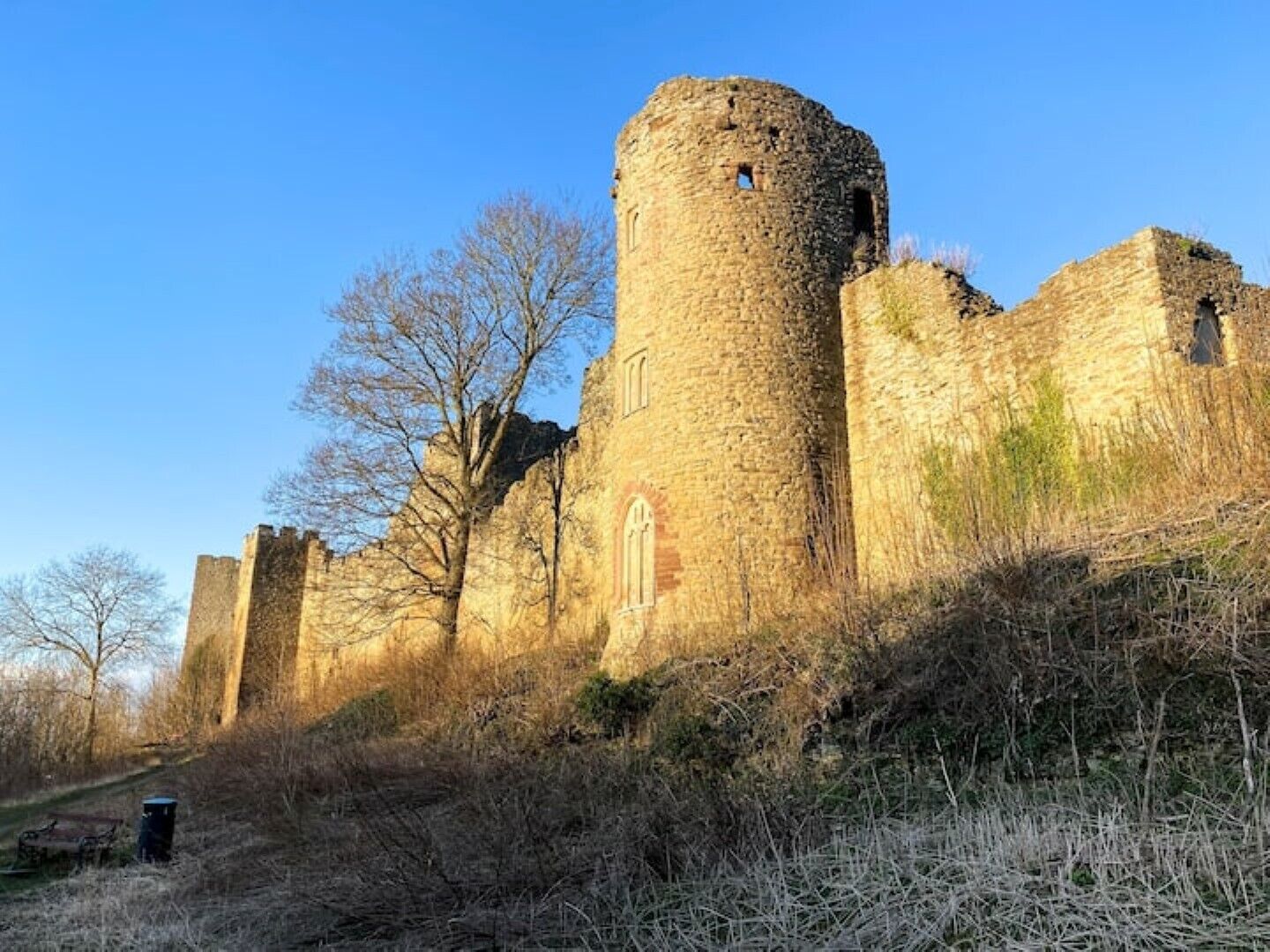 A historic stone castle with a round tower, surrounded by overgrown vegetation and leafless trees.