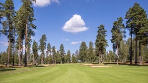 A golf course with a clear sky, surrounded by tall pine trees. - Götaströms Värdshus (Skillingaryd)