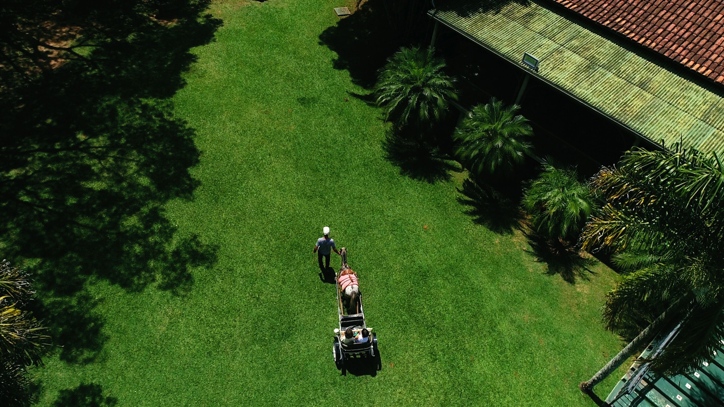A person mowing a lawn with a lawn mower.