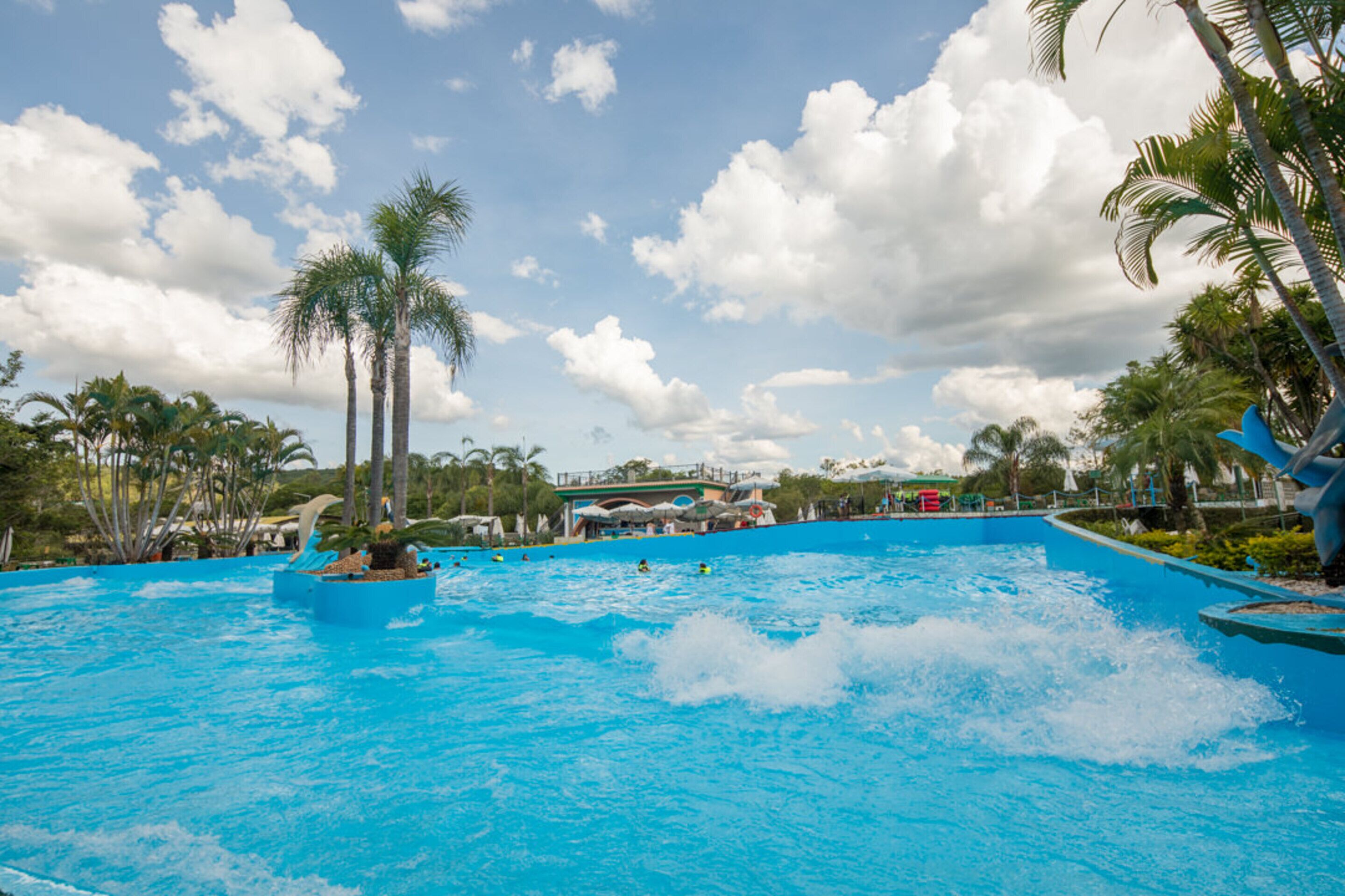 Uma grande piscina ao ar livre com palmeiras e céu claro.
