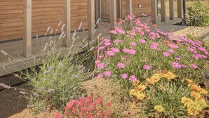 A wooden building with a covered porch and a garden with various flowers. - Loft Boutique "Ave Lodge" in Frutillar - 1 (Frutillar)