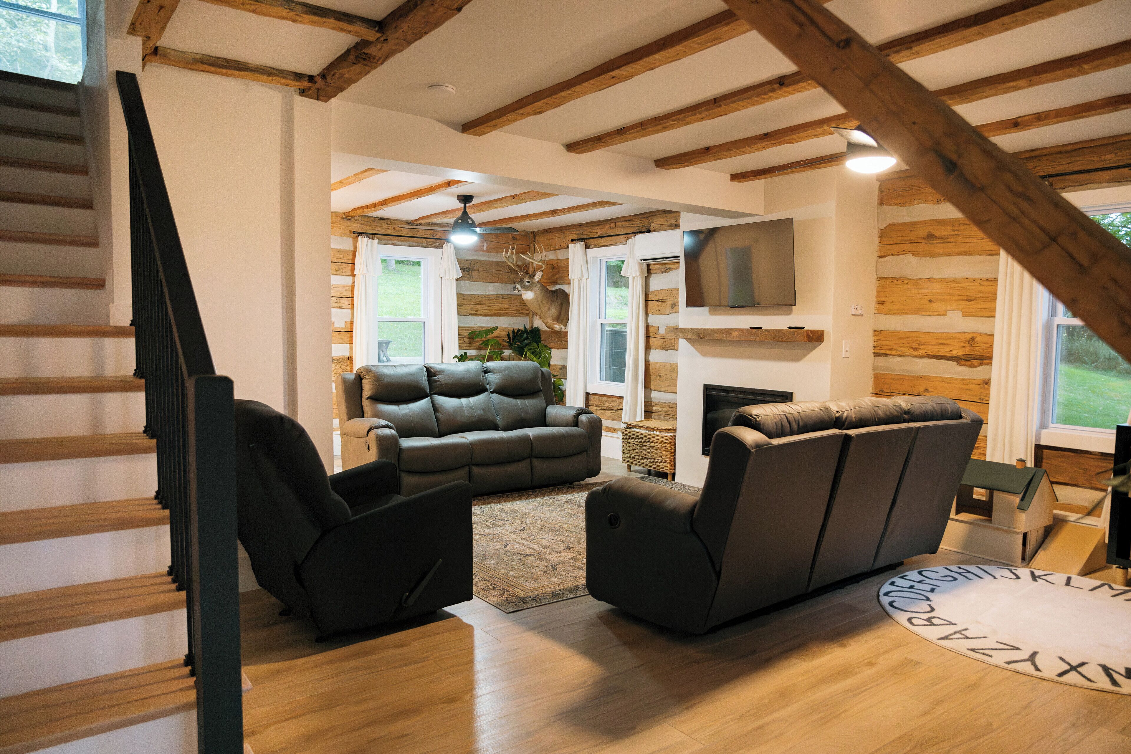 TV connectée, cheminée, livres, chaîne hi-fi