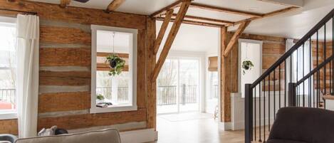 TV connectée, cheminée, livres, chaßne hi-fi