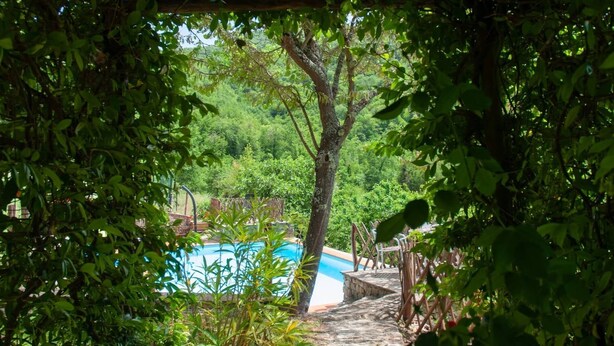 A pool surrounded by lush greenery and stone pathways. - Villa con Piscina - Casale Rancaccio (Arezzo)