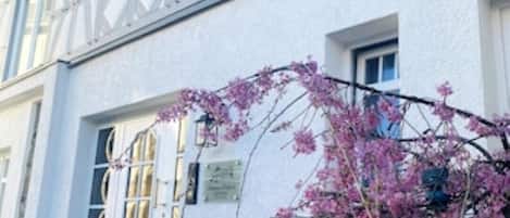 تناول الطعام بالخارج