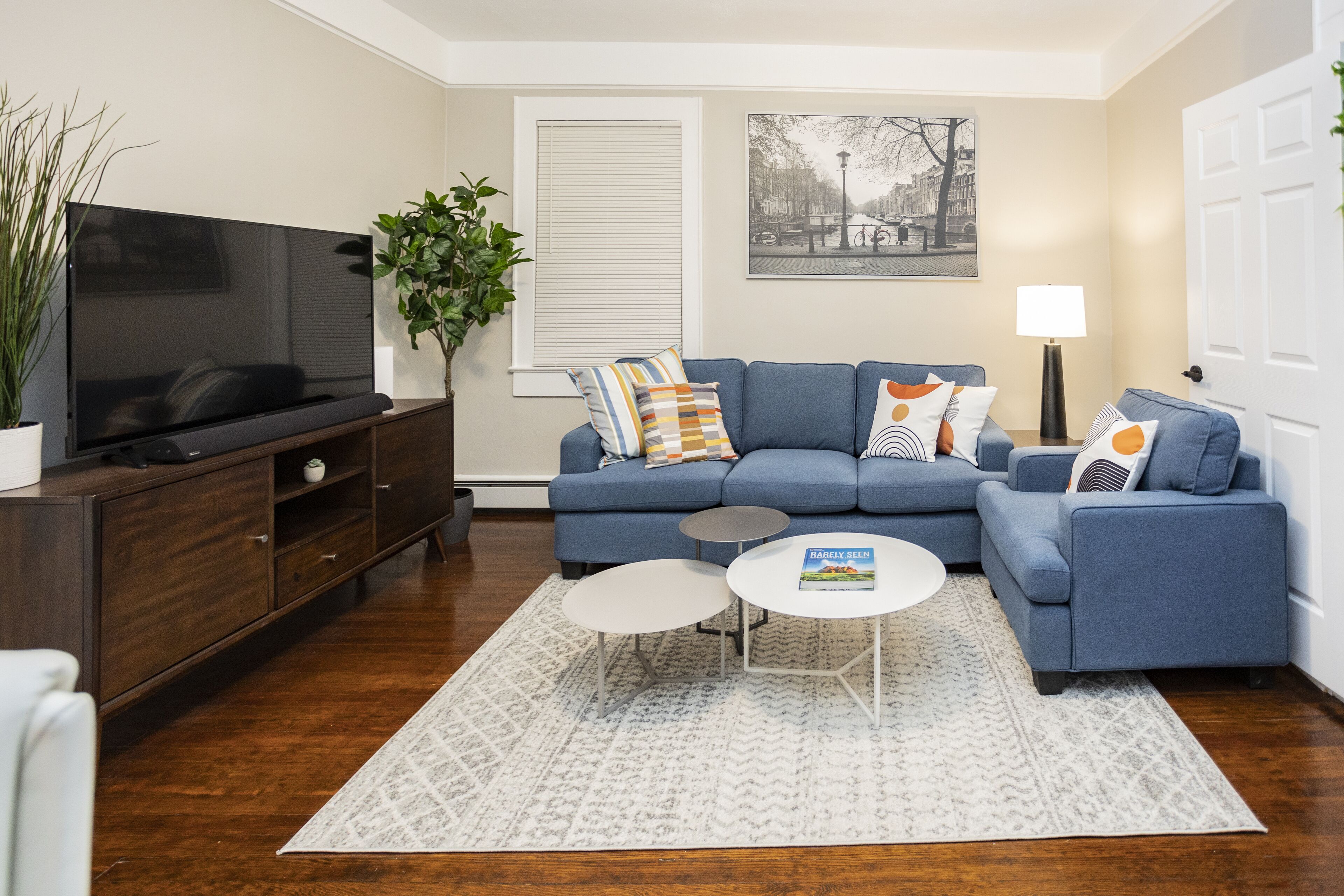 تلفزيون ذكي، كُتُب، شاشة كمبيوتر