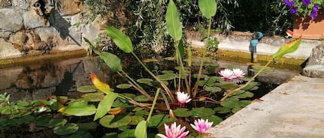Dettaglio esterni