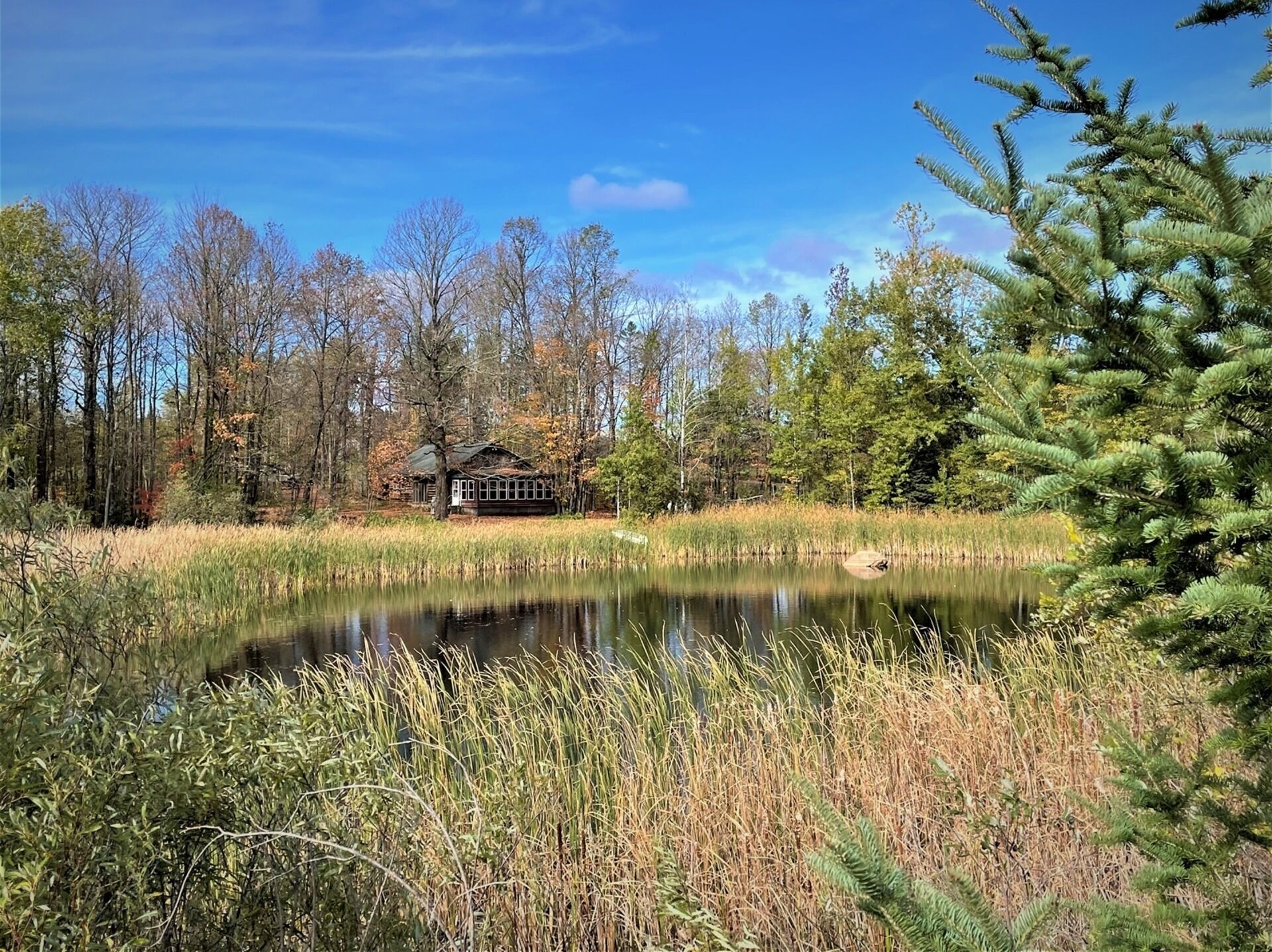 The Pond Cabin | 2 Bed, 1 Bath