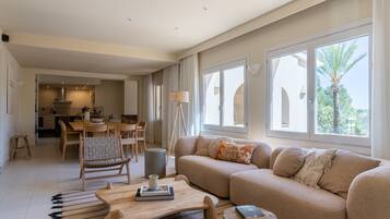 电视、壁炉、DVD 播放器、乒乓球