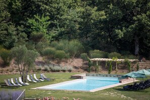 A rectangular pool with lounge chairs and umbrellas, surrounded by a grassy area and dense trees.