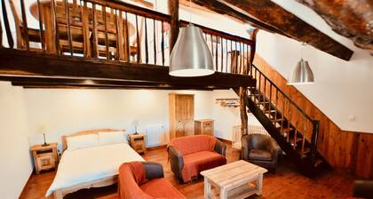 Le Sanglier - Rustic and charming gite with panoramic mountain views, immersed in beautiful nature