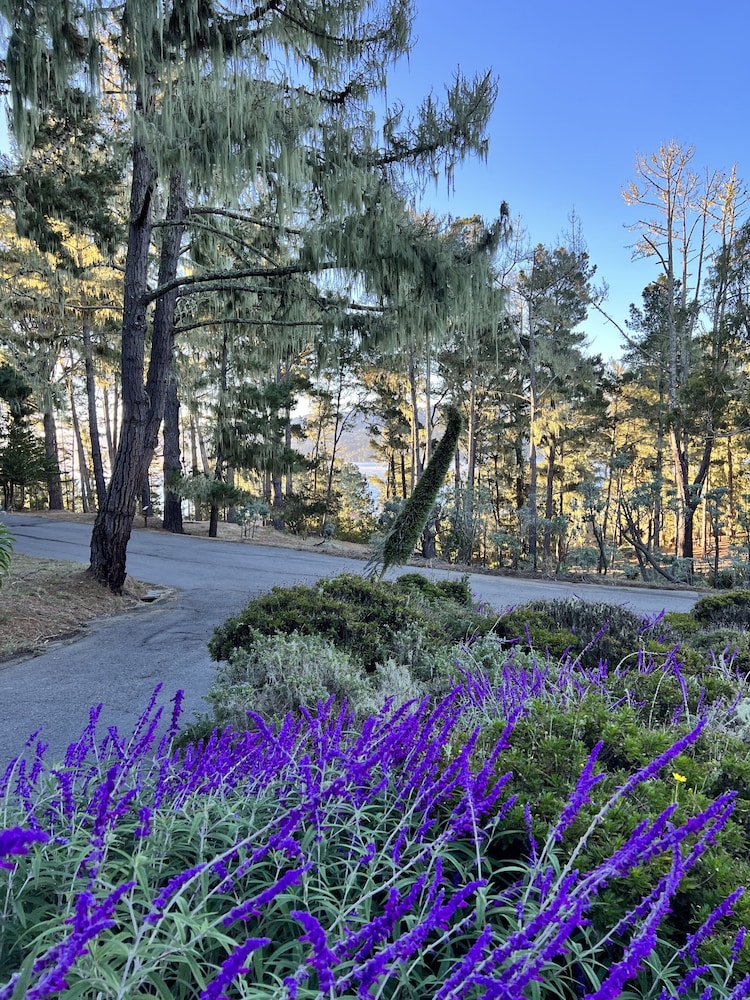 Lodge at Marconi by null