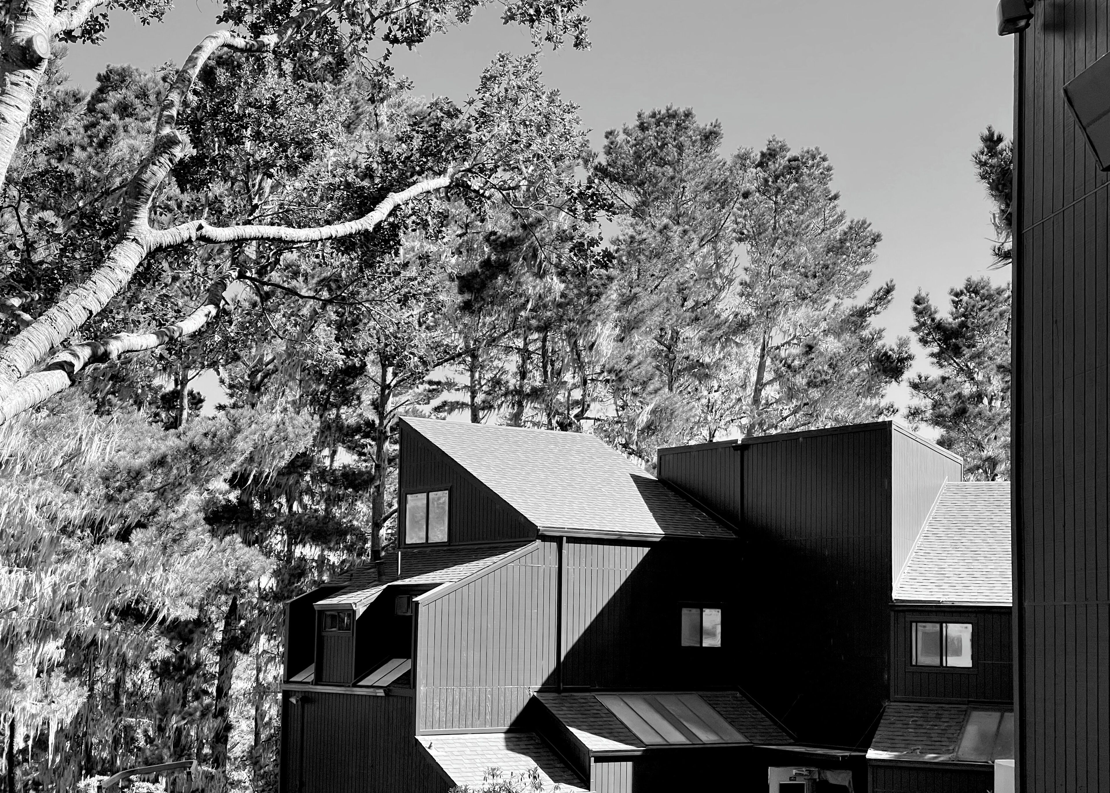 Un bâtiment moderne doté d’un toit en pente, de nombreuses fenêtres et d’une structure de toit complexe.