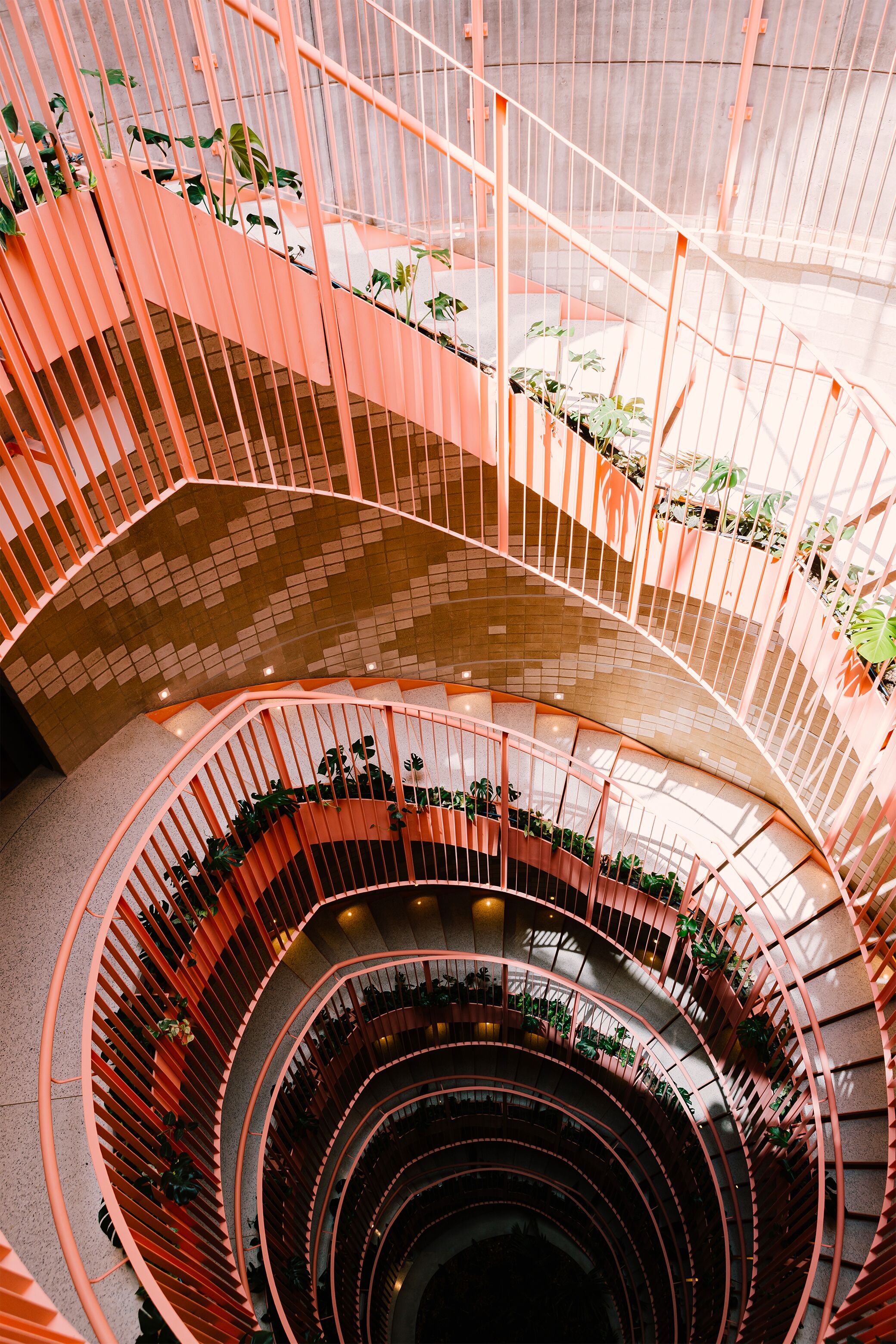 Un escalier en colimaçon à plusieurs niveaux, au design moderne, entouré de plantes en pot.