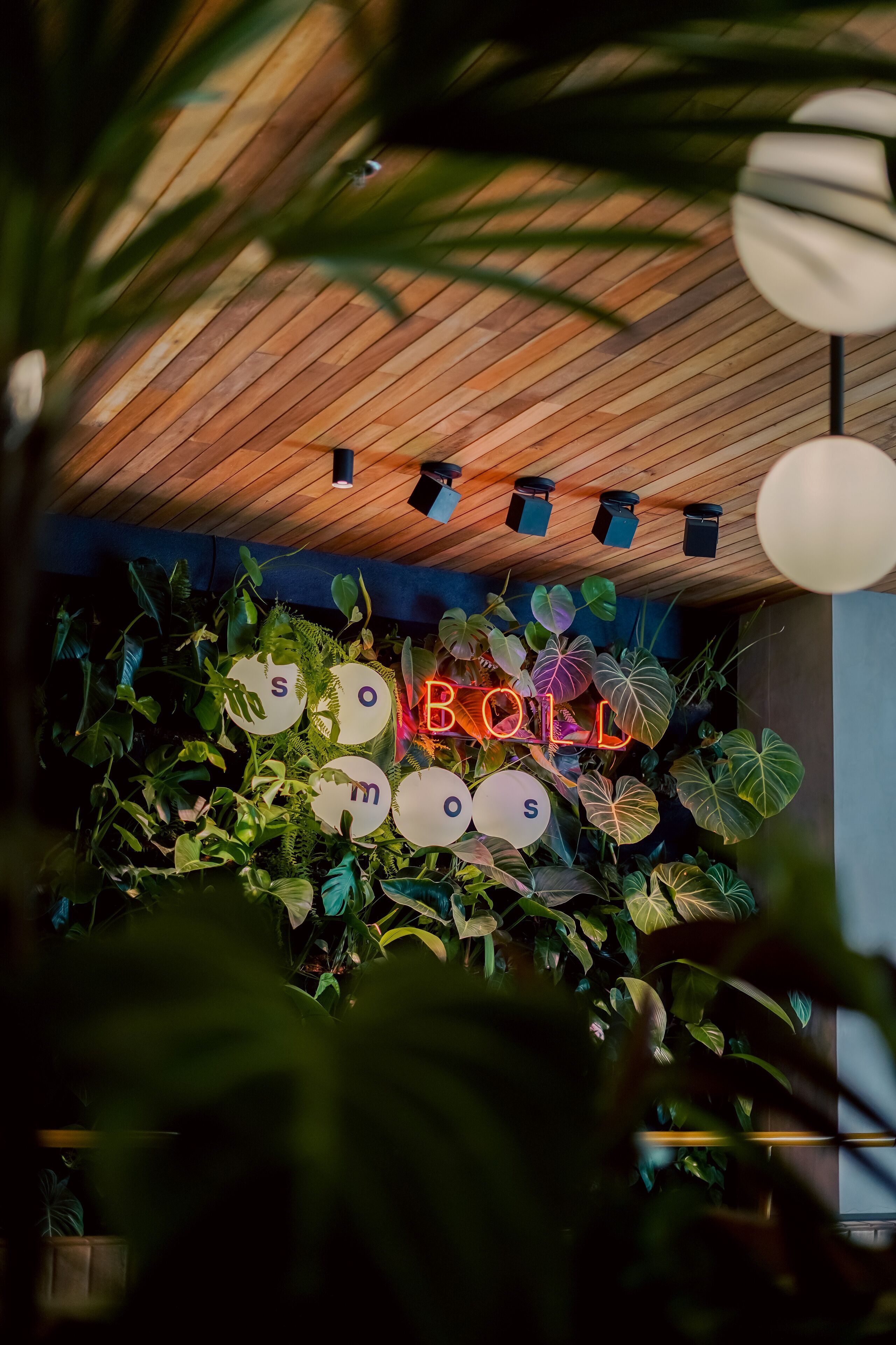 Foto - The Somos Bold Hotel