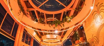 The Somos Bold Hotel
