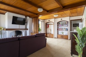 Un salon avec une cheminée, un téléviseur fixé au mur, un canapé, une bibliothèque et une plante en pot.