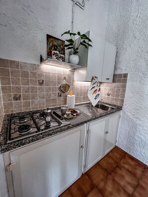 Fridge, microwave, dishwasher, cookware/dishes/utensils