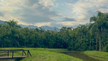 A serene landscape with a pond, grassy areas, and a wooden bridge.