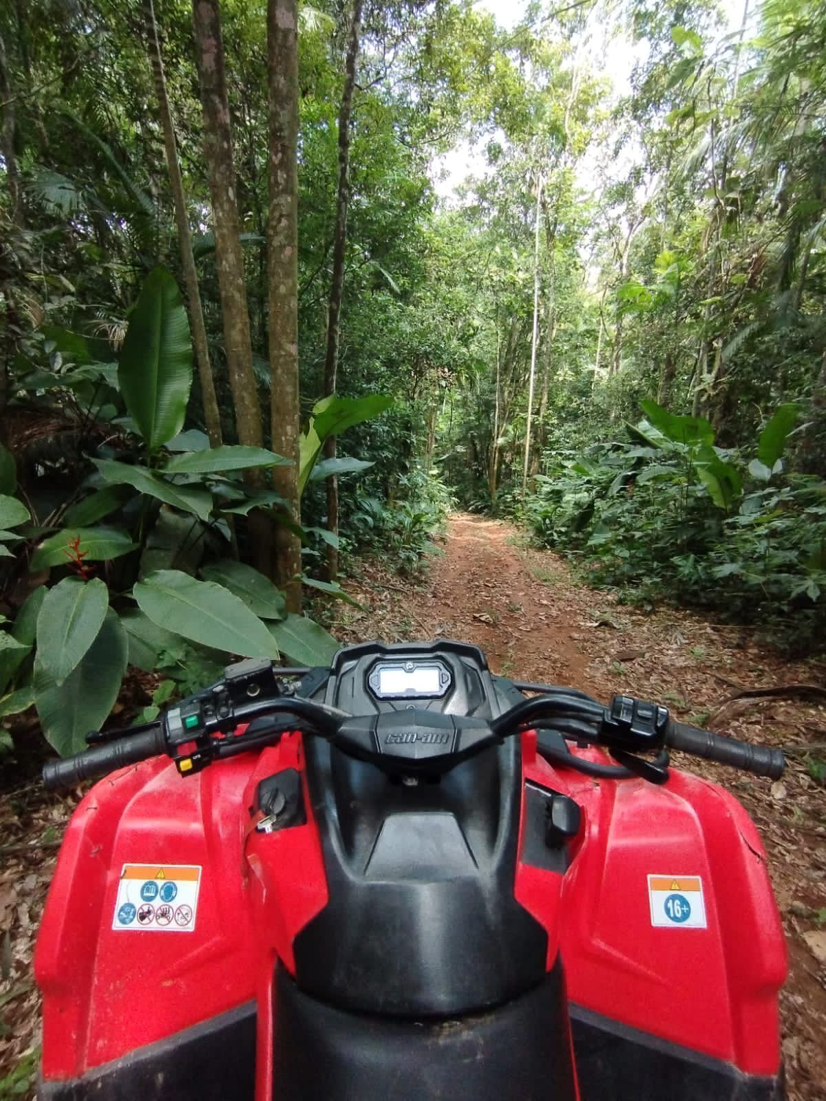 A red ATV in a forested area with a dirt path.