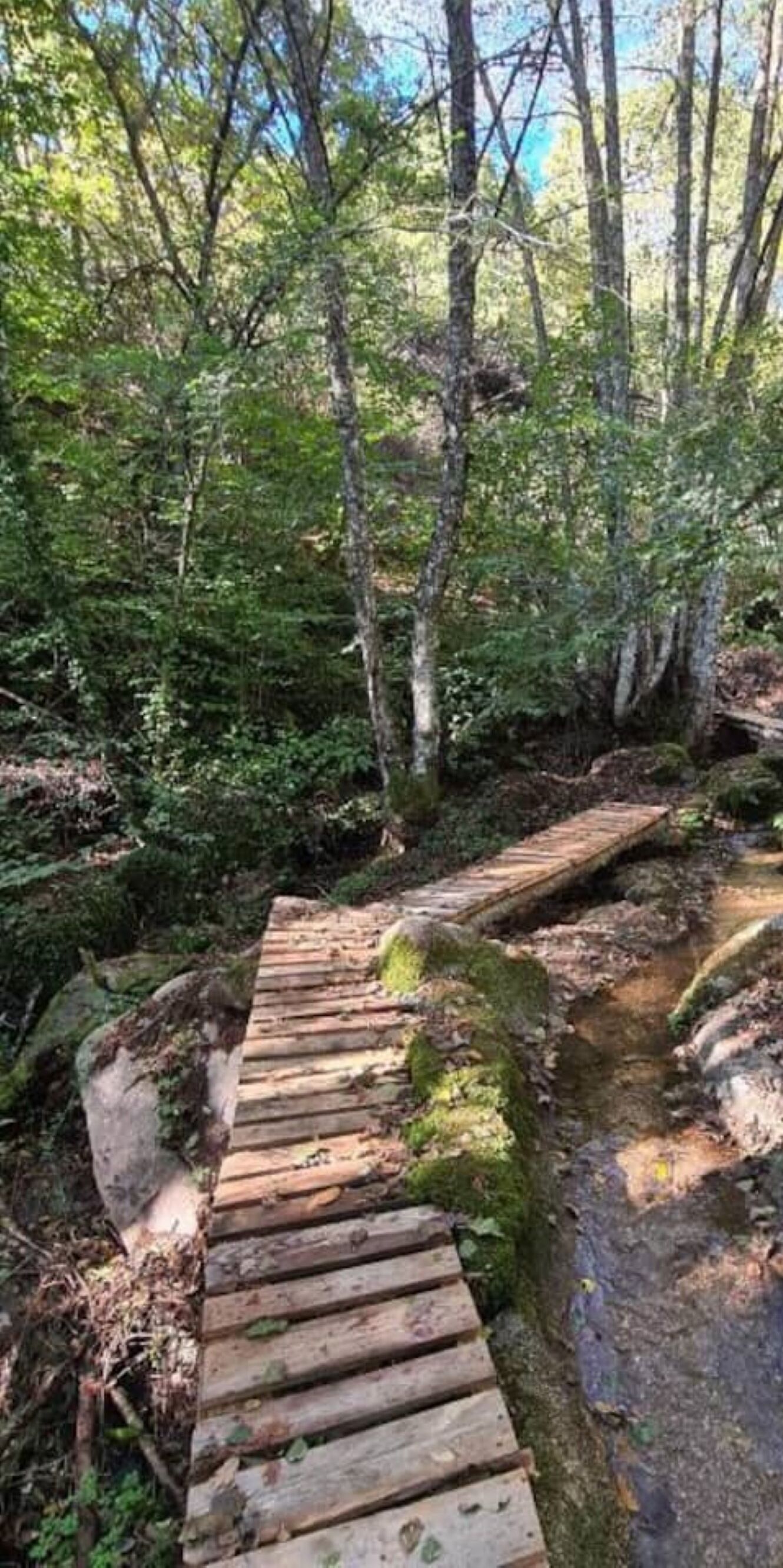 Un puente de madera en un área boscosa con un arroyo debajo.