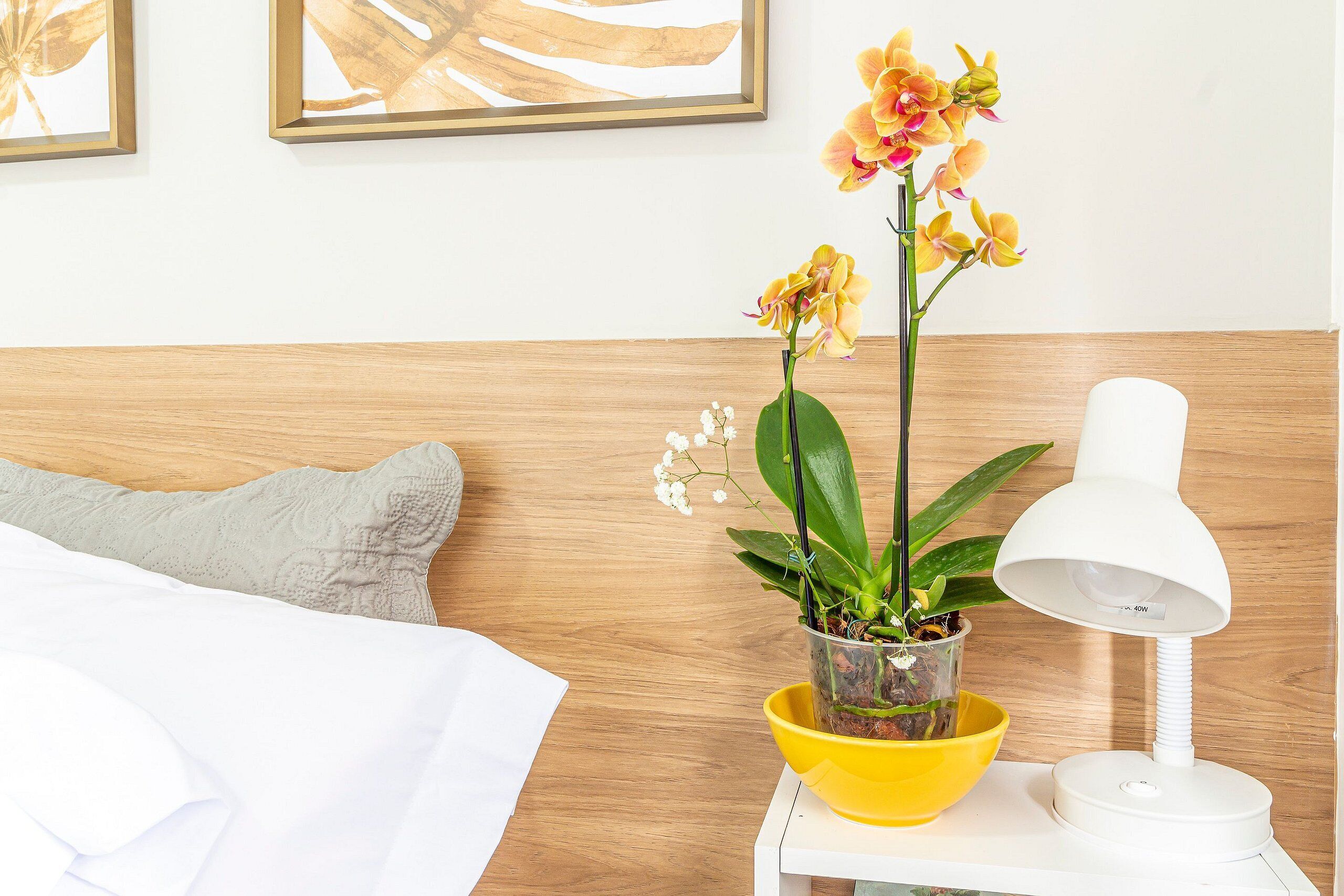 公寓 | 2 間睡房、免費 Wi-Fi