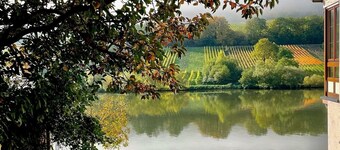 Double room in the Bed & Breakfast on our winery on the Moselle