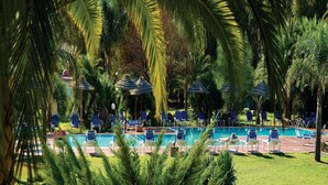 Zona de piscina con sillas de descanso y sombrillas, rodeada de palmeras.