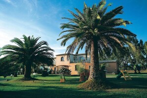 A building with a large palm tree in the foreground, a well-maintained lawn, and a playground. - Apartment in Pula near town center (Pula (CA))