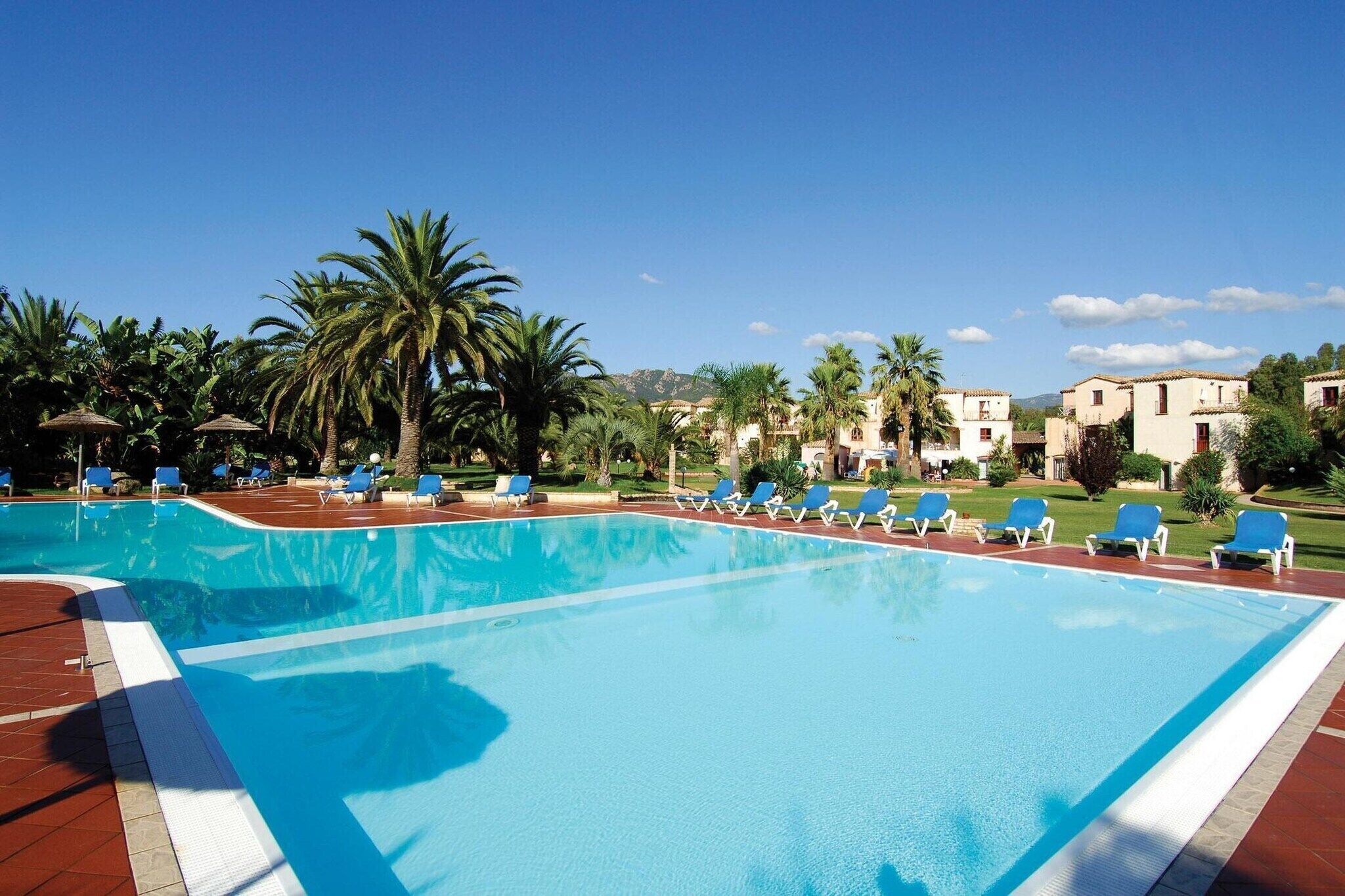 A swimming pool with lounge chairs and palm trees.