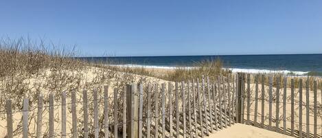 On the beach