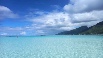 MOOREA - Bungalow Moekea Lagoon