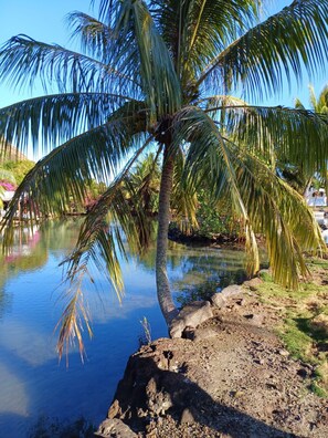 Surrounded by palm trees and a rocky shoreline, this tranquil retreat offers a serene escape.