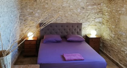 MAZET OF CHARACTER between vineyards and olive trees