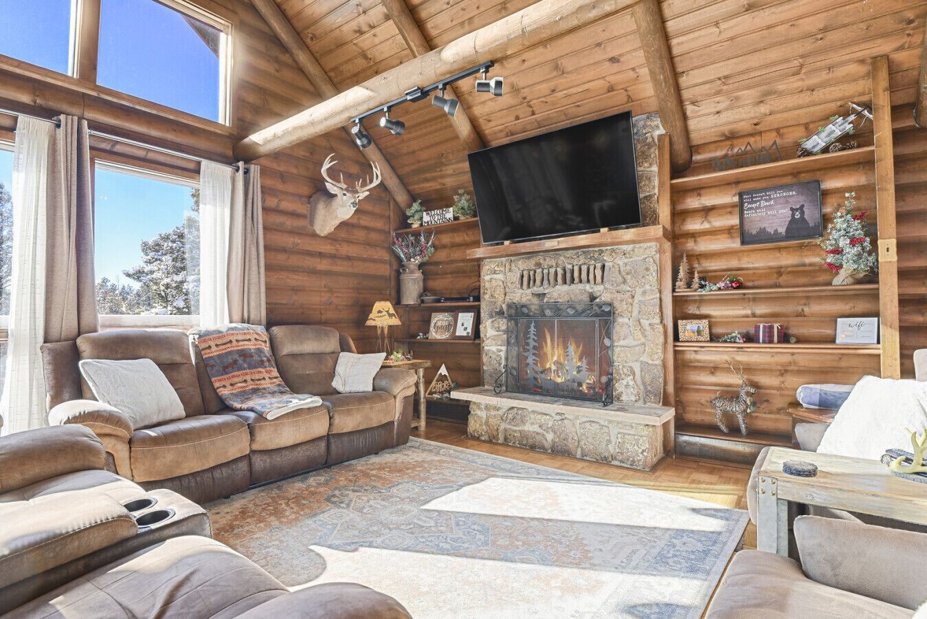 智能电视、壁炉、立体声音响