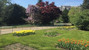 Ein gepflegter Garten mit verschiedenen Blumen und einem großen Baum mit roten Blättern.