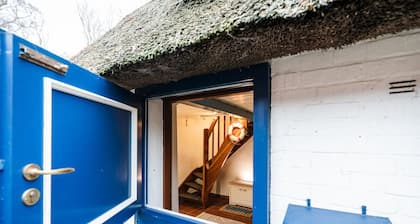 Reethus Deichseele | Ferien unter Reet