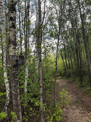 A forested area with a sign reading "Todd's Way".