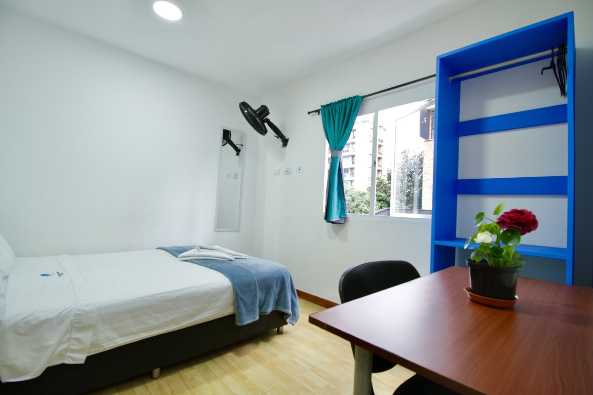 Une pièce comprenant un lit, un bureau, une chaise, une fenêtre avec des rideaux, une plante en pot et une étagère bleue.